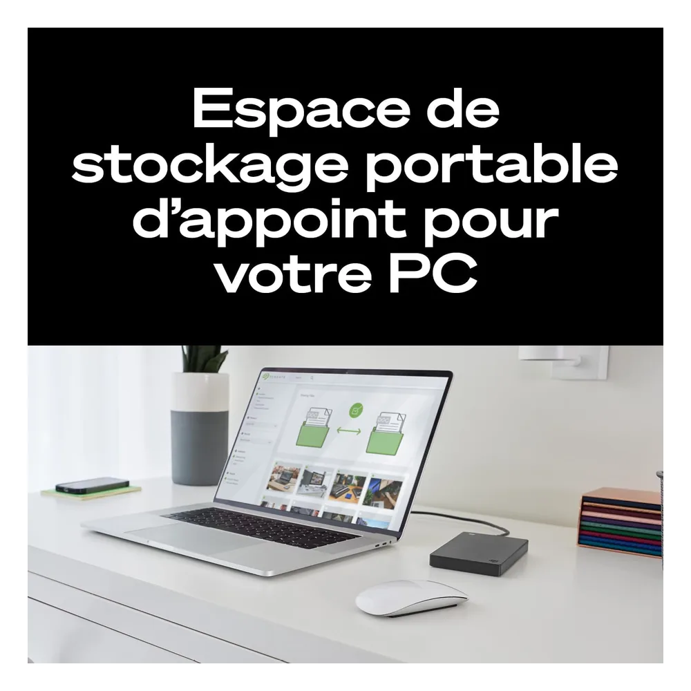 Seagate Disque dur externe 2 To STGX2000400