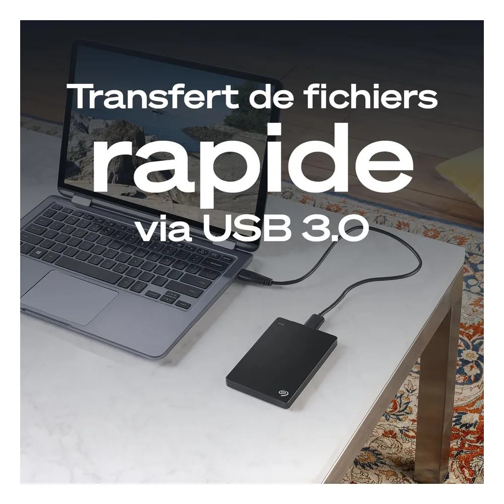 Seagate Disque dur externe 2 To STGX2000400
