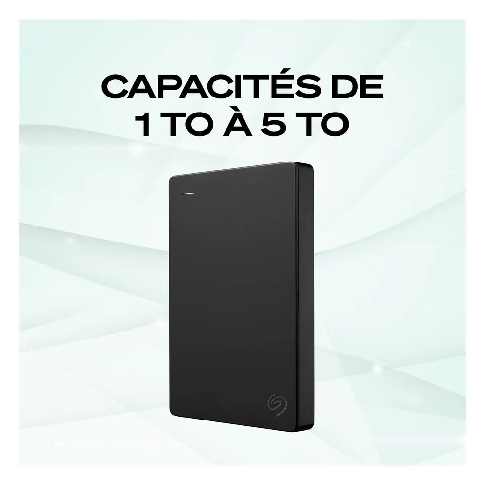 Seagate Disque dur externe 2 To STGX2000400