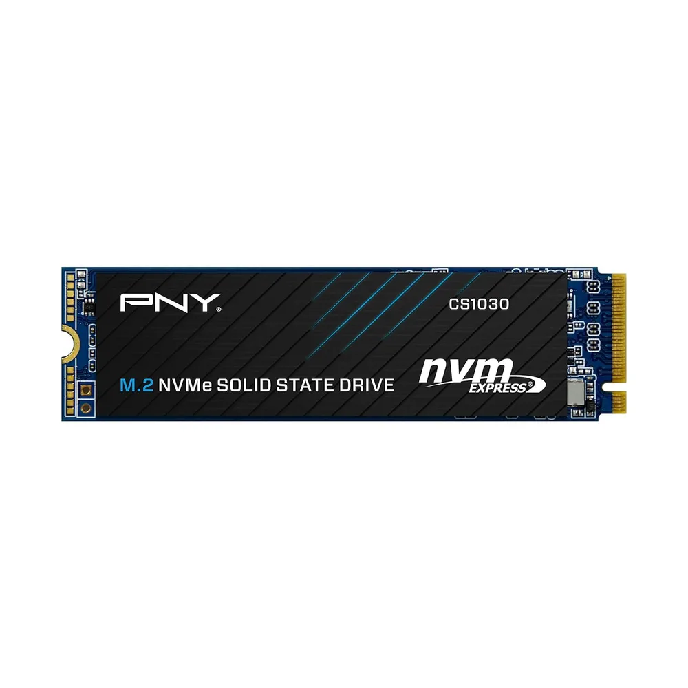 PNY SSD NVMe 250 Go CS1030