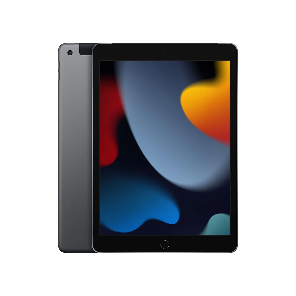 Apple iPad 256 Go