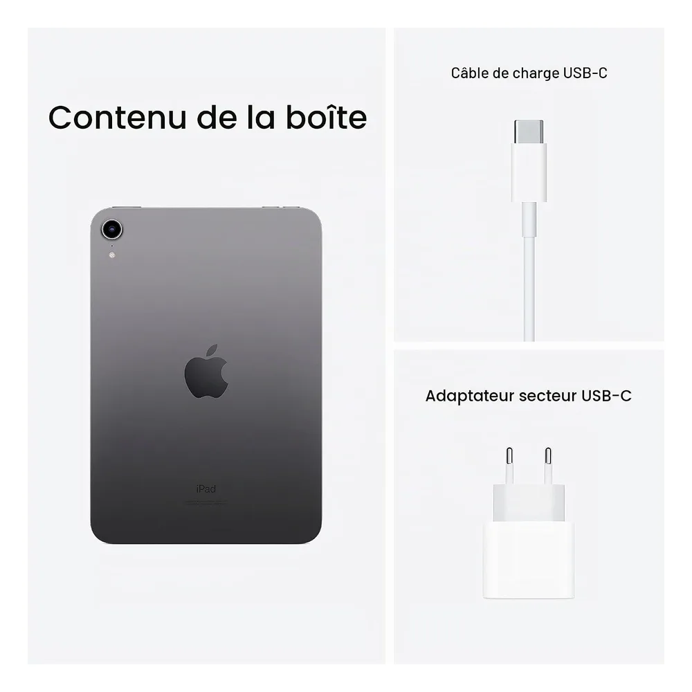 Apple iPad Mini 256 Go