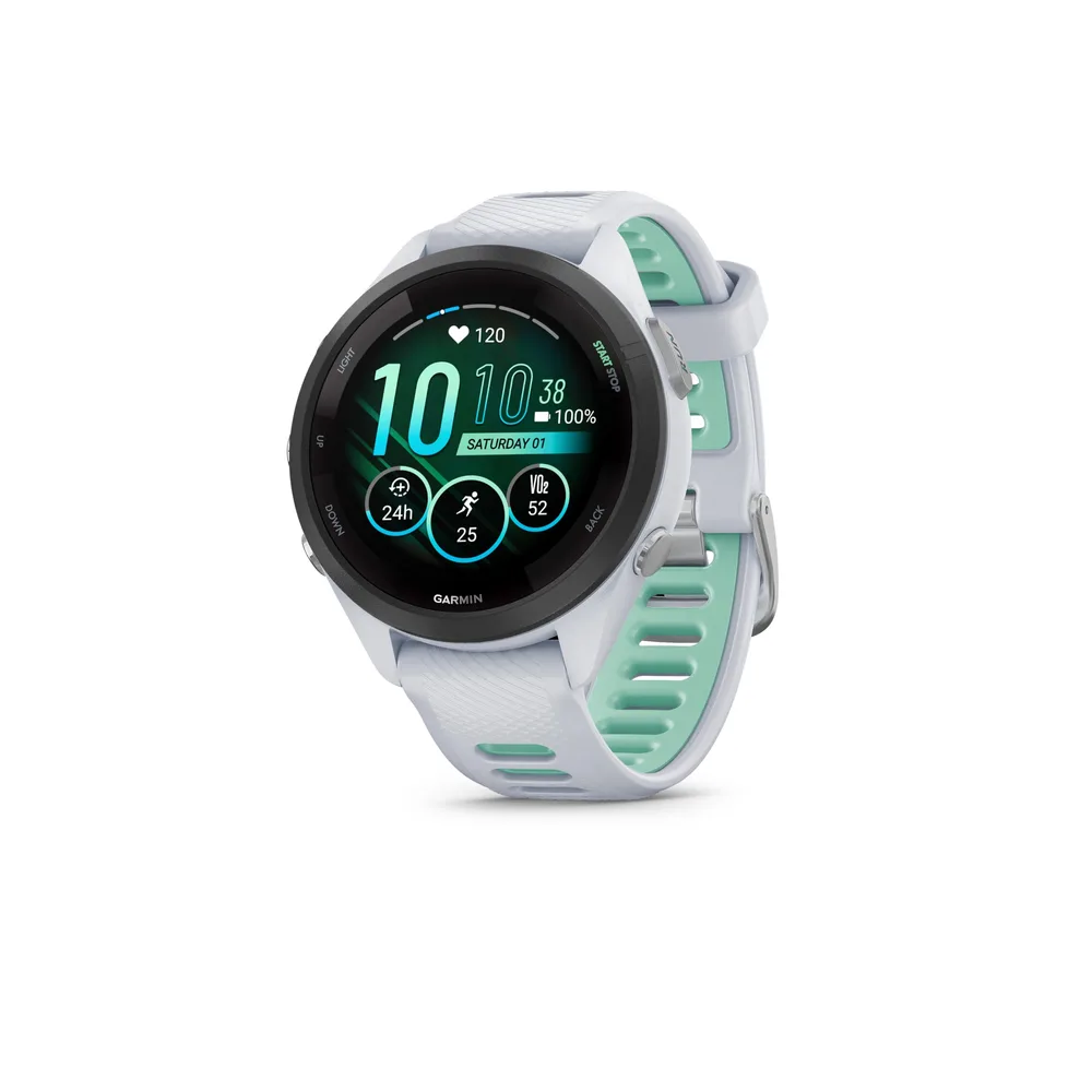 Garmin Montre GPS