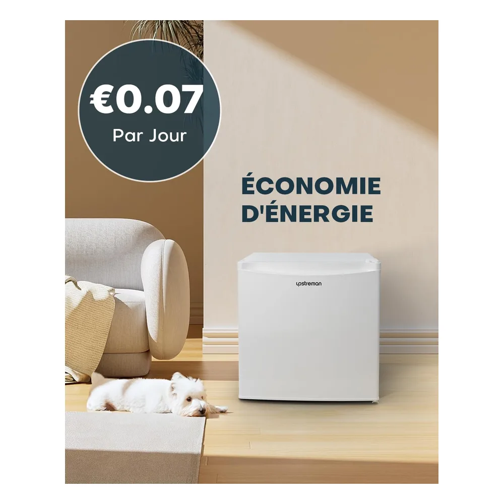 Upstreman Réfrigérateur 46 L