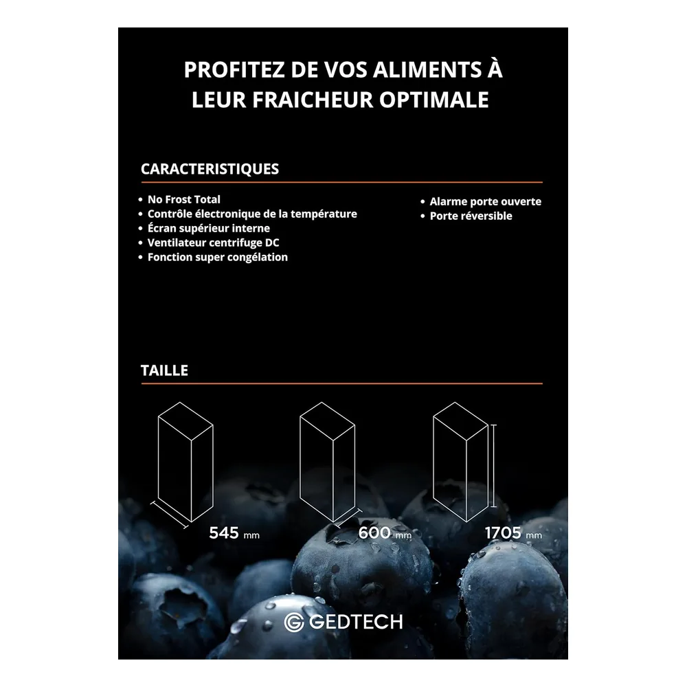 GEDTECH Congélateur 224 L GCO224NFWH