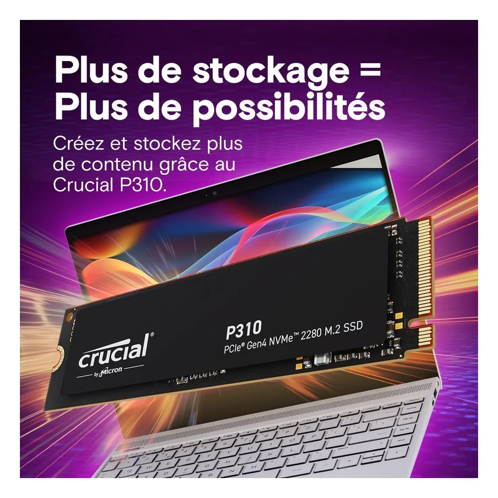 Crucial SSD CT1000P310SSD801