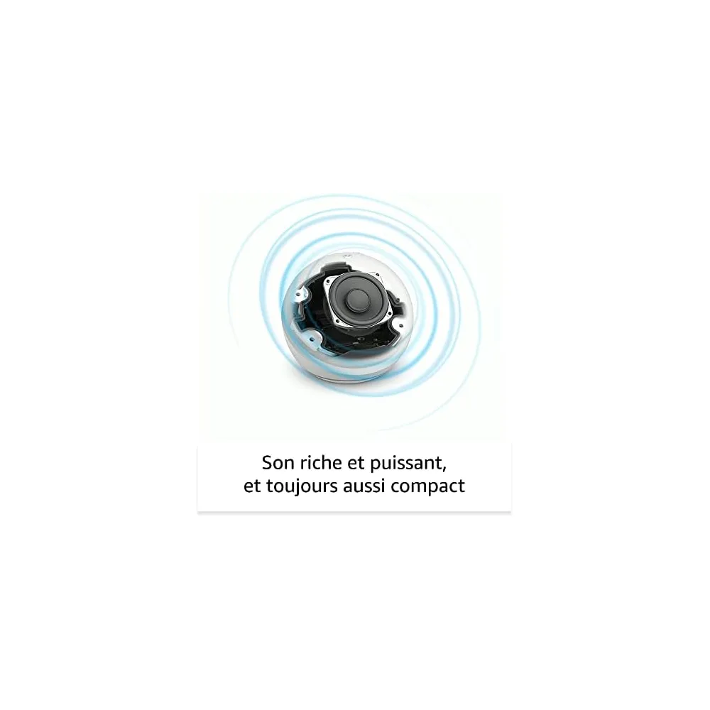 Amazon Enceinte connectée L530EA