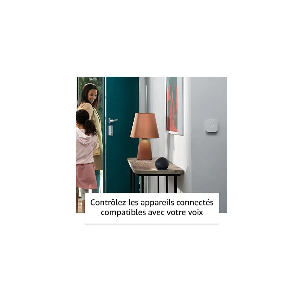 Amazon Enceinte connectée L530EA