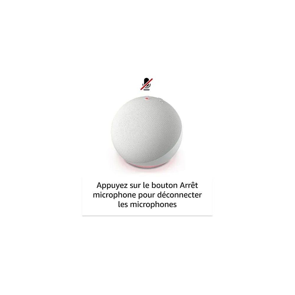 Amazon Enceinte connectée L530EA
