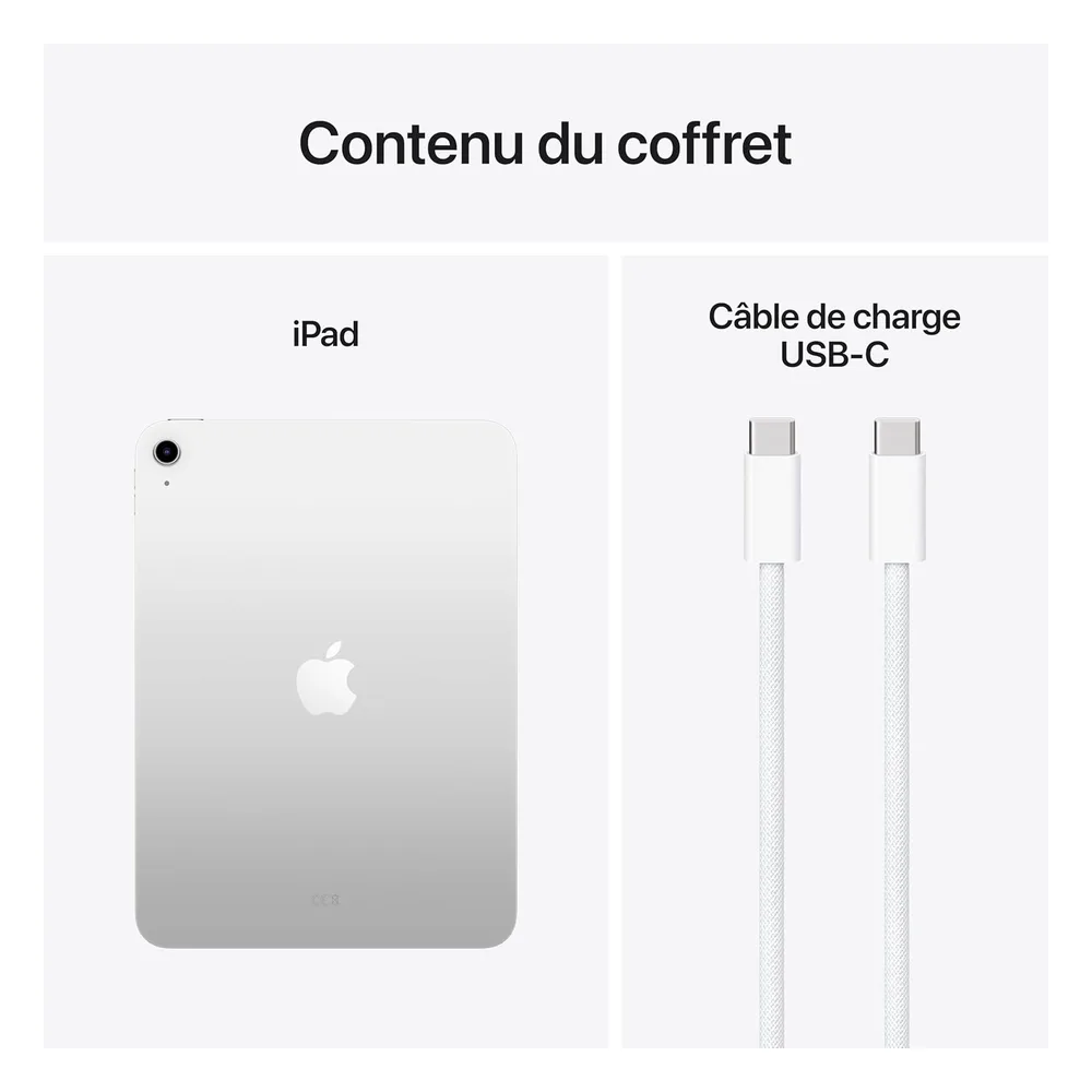 Apple iPad 128 Go