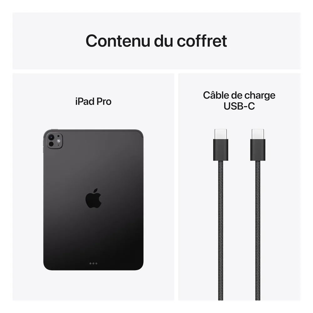 Apple iPad Pro 11 256 Go