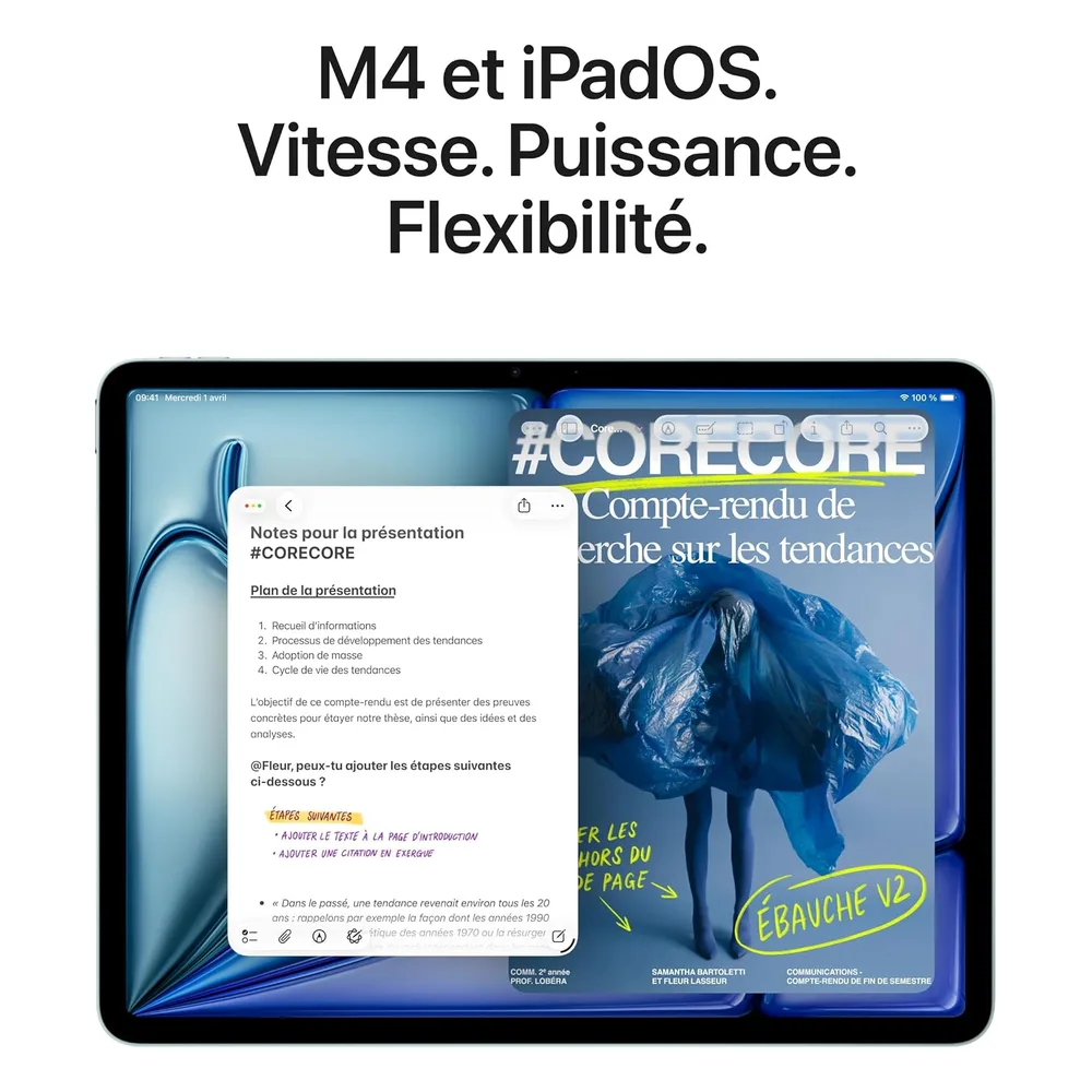 Apple iPad Air 256 Go