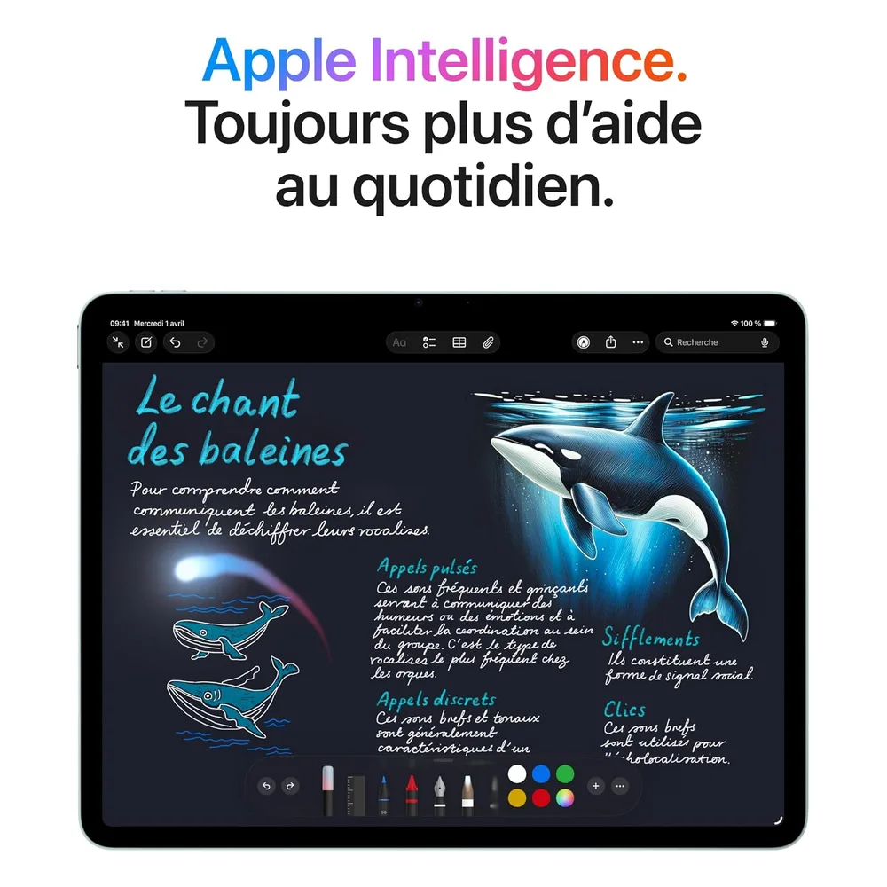 Apple iPad Air 256 Go