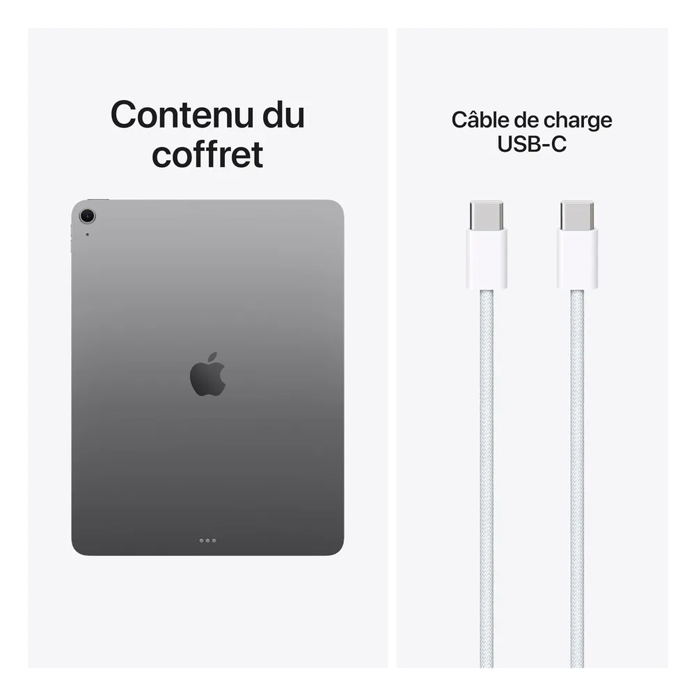 Apple iPad Air 256 Go